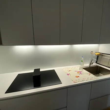 Διαμέρισμα Duplex Avec Vue Sur La Garonne