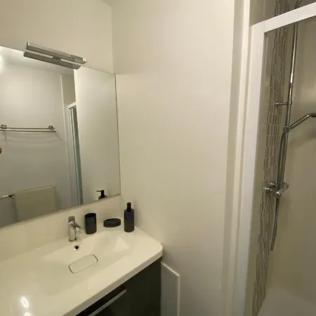Duplex Avec Vue Sur La Garonne *